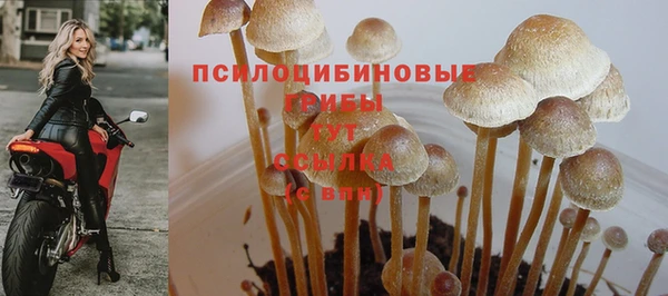 прущие крисы Майский